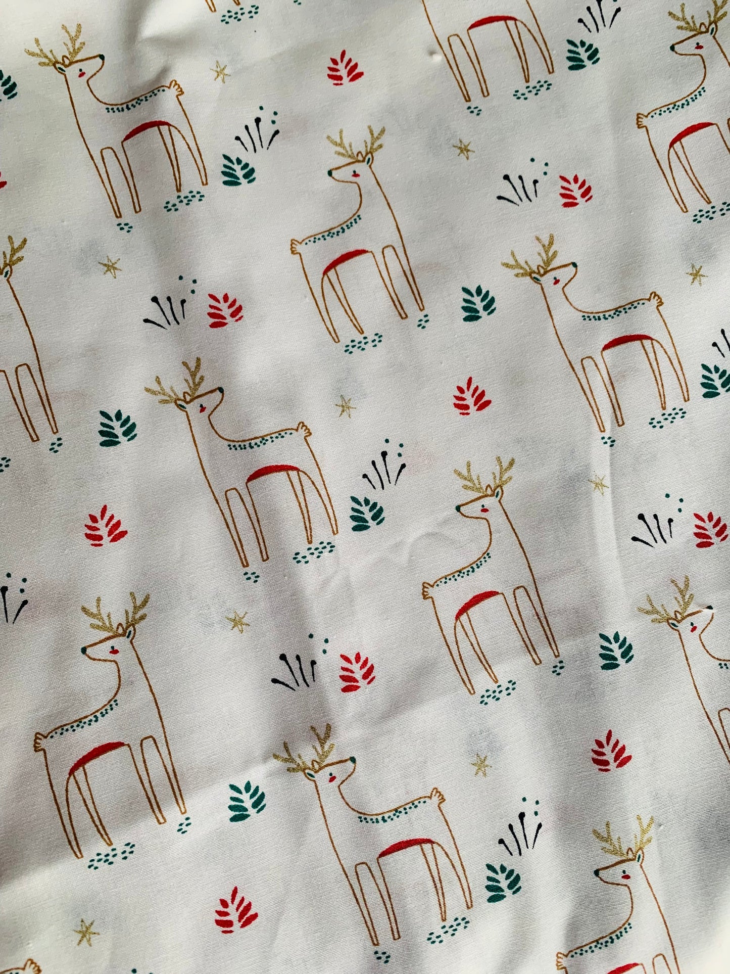 Chaussettes de Noël / Bottes de Noël